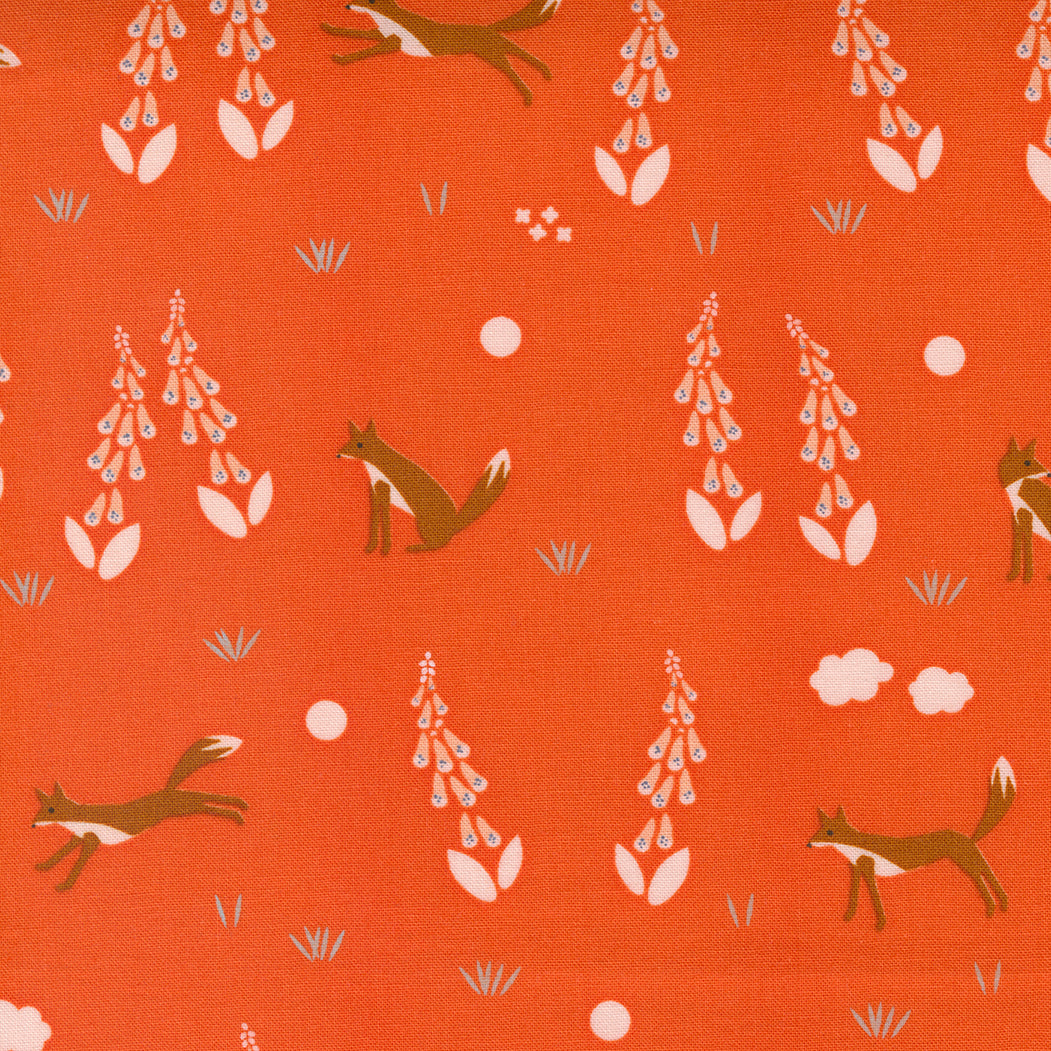 Foxes in Geranium | Meander