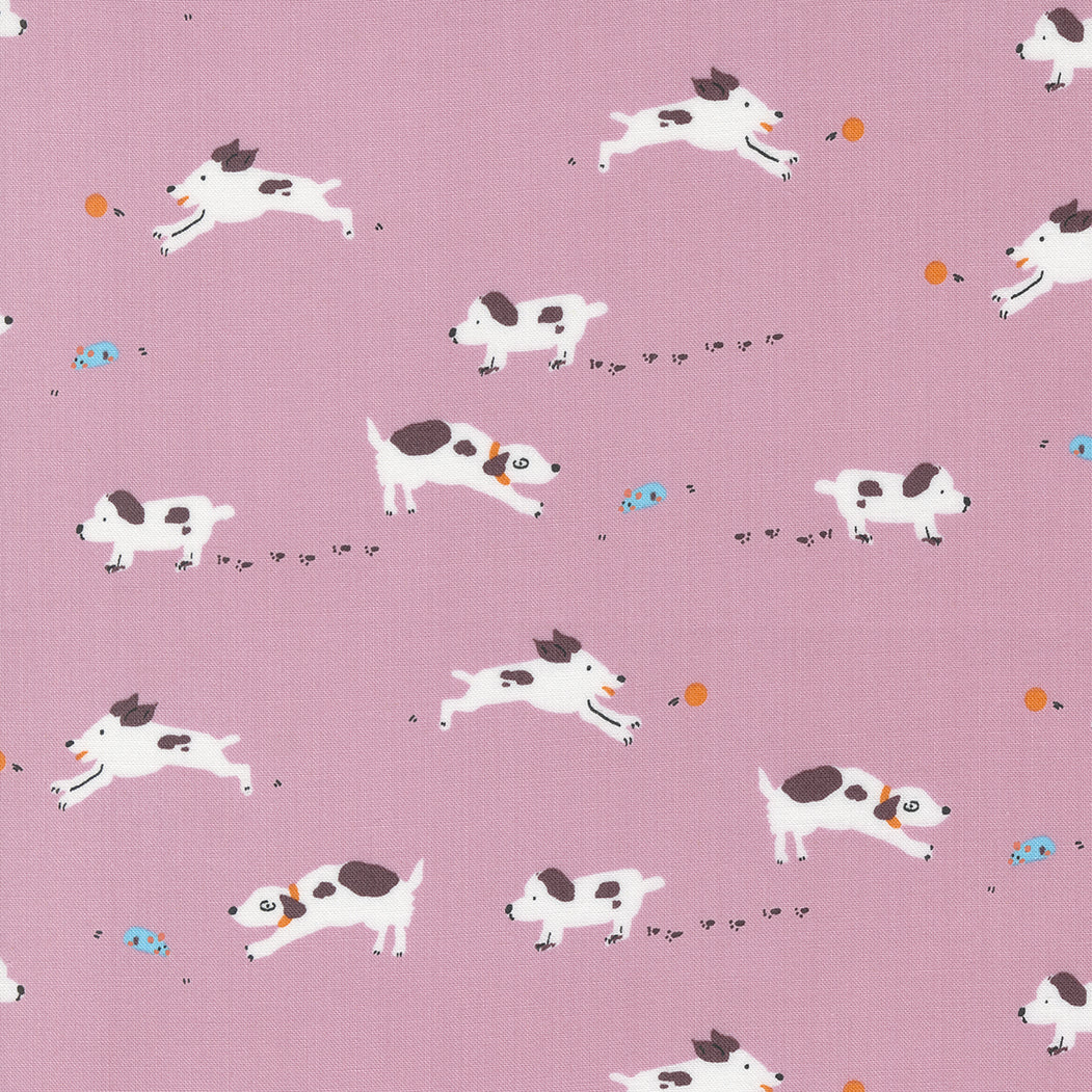 Puppy Dog Tails in Foxglove | Pips