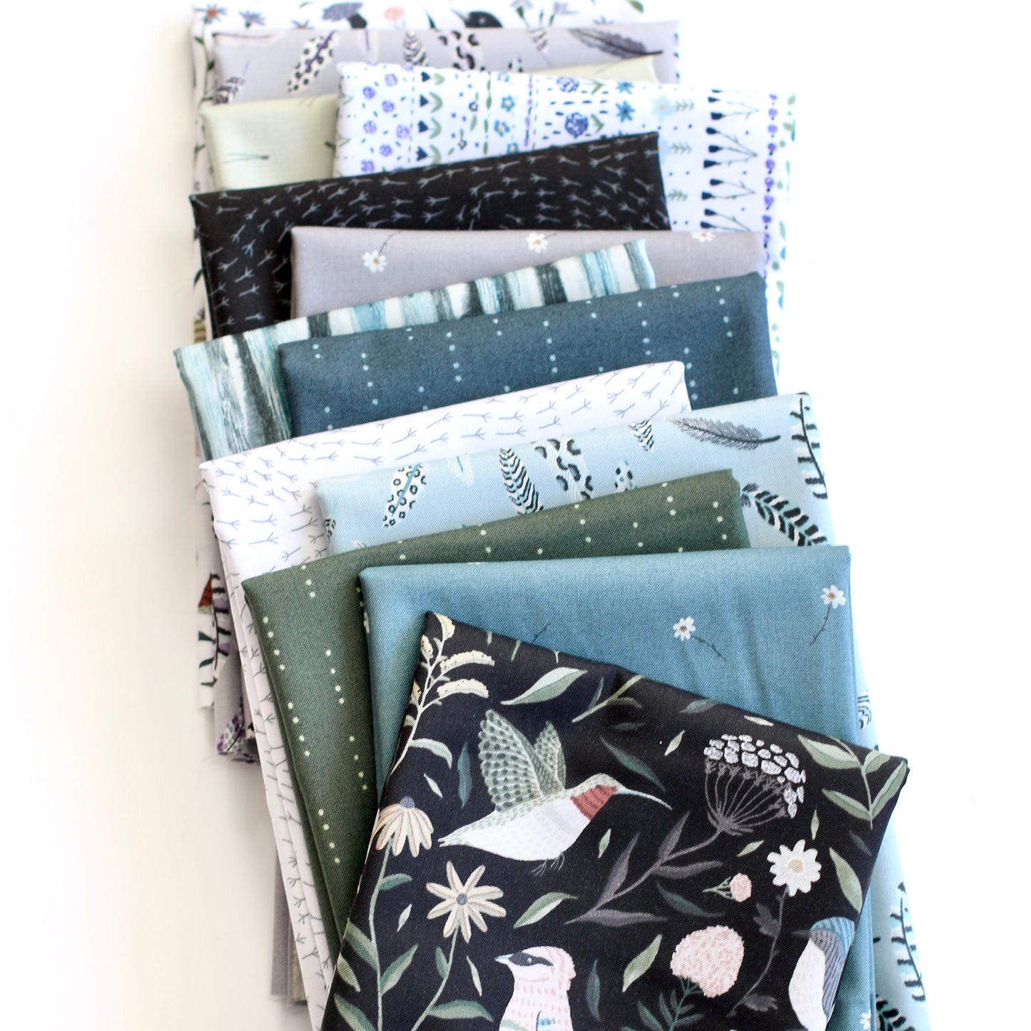 Daisies in Navy | Birdwatch