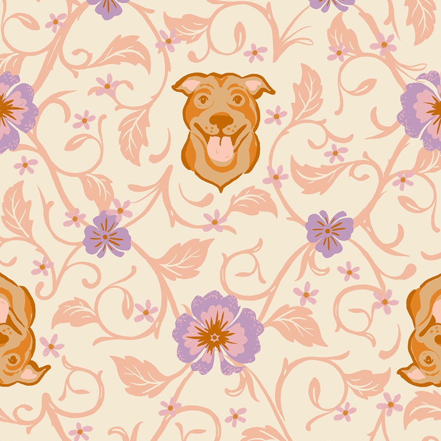 Pitbull in Shell | Dog Park