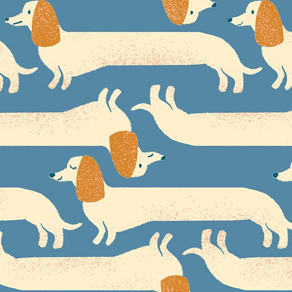 Long Dog in Chambray | Dog Park