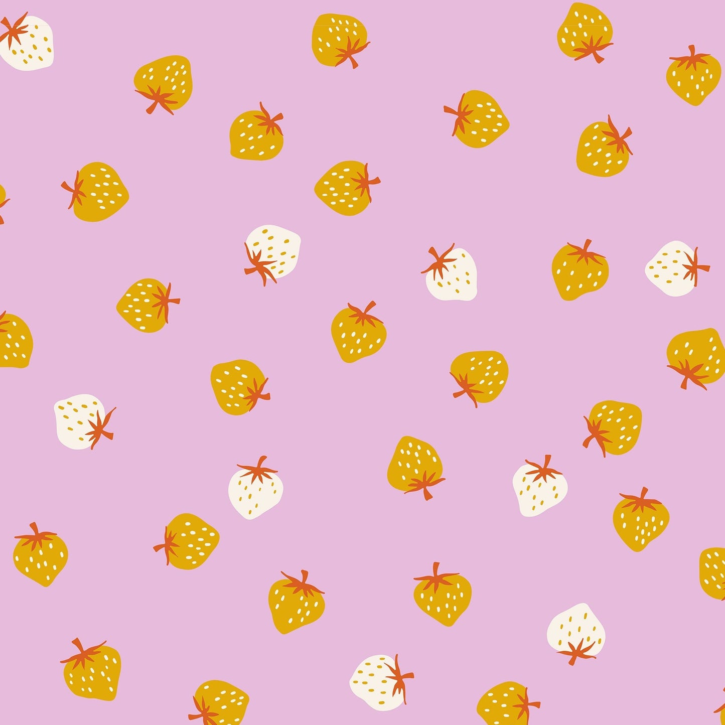 Strawberry Toss in Macaron | Picture Book