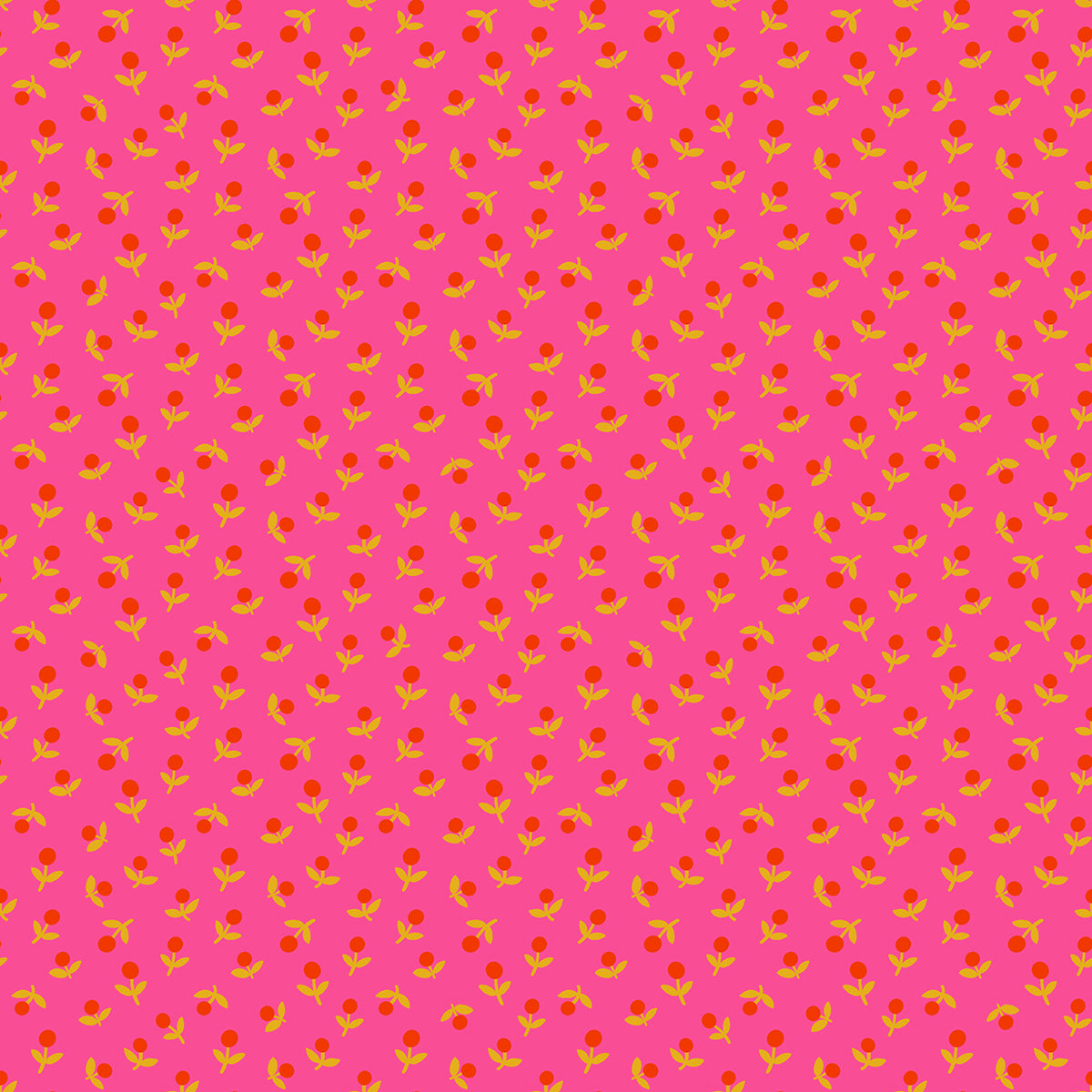 Sprout in Playful | Catnap