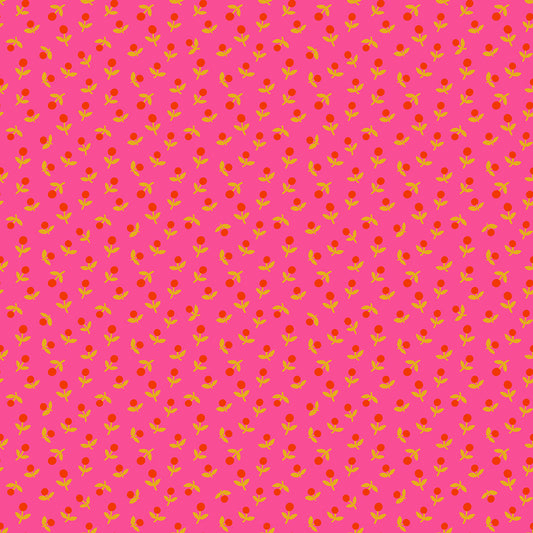 Sprout in Playful | Catnap